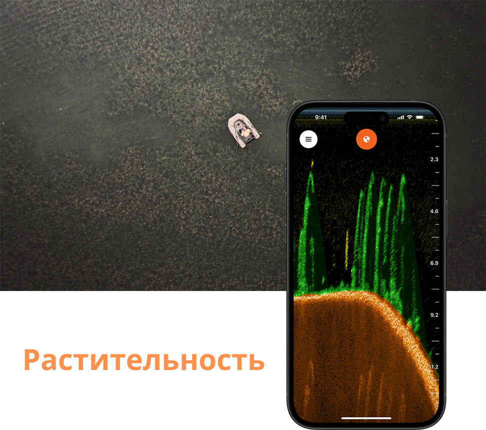 Растничность