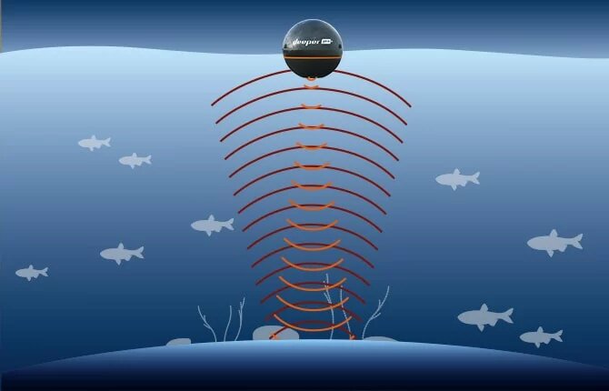 Размер рыбы на эхолоте: как определить по отображению на эхолоте
